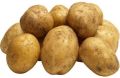 Lavkar Potato