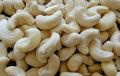Loose Packed cashew nuts