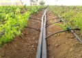 Cast Iron Plastic Black Automatic drip irrigation system