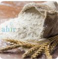 Wheat Flour (maida)
