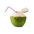 tender coconut