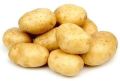 Natural fresh potato