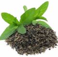 Green Organic Tea Leaves