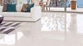 Creamic Rectangular Square Available In  Many Different Colors 600x600mm polished vitrified tiles