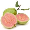 frozen pink guava pulp