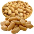 dried peanut kernel