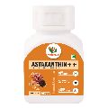 Vaddmaan Astaxanthin++ - 60 Capsules, Natural Astaxanthin haematococcus pluvialis, Natural Curcumin 95%, Piperine 95% Super Antioxidant, Vegan, E