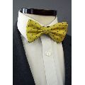 Mens Dotted Bow Tie