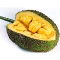 Fresh Jackfruit