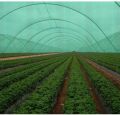Plastic AGRI-GEO agriculture shade net