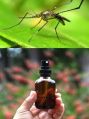 herbal mosquito repellent