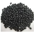 Black Kidney Beans - Small Black Beans - Best Price and Quality