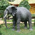 FRP Elephant Statue