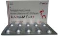 Teneligliptin Hydrobromide Hydrate and Metformin Hcl Tablets