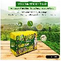 yellow sticky trap pack of 10