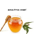 eucalyptus honey