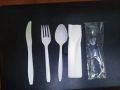 White Plain Polished Plastic Cutlery Set