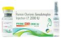 Prime HCG Injection