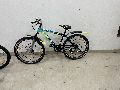ashokaa bicycle