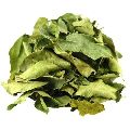 Organic Green Raw RRS curry leaves