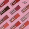 Ebony london Lipgloss 101
