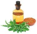 Curry Leaf oil