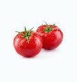 Natural Green fresh tomato