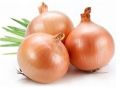 Organic fresh yellow onion