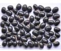 black kaunch seeds