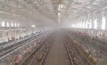 Poultry Farm High Pressure Misting System