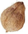 Natural semi husked coconut