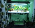 JNH Aquatic Glass Transparent aquarium fish tank