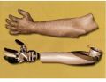 Prosthetic Hand