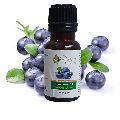 Blueberry Pure Fragrances Oil
