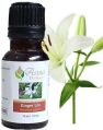 Ginger Lily Essential Oil