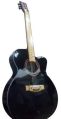 Hobner Black Wooden semi electric guitar