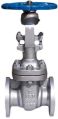 Stainless Steel New Polished Vision Bolted Bonnet Gate Valve