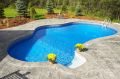 Blue Green Grey White Plain Swimming Pool Construction Services