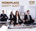 industrial safety audit