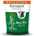 IAgriFarm&amp;reg; Alfalfa /Lucerne / kuthirai masal seeds Pack of 1kg