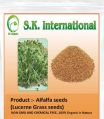 S.K. International Organic Alfalfa Seeds (Lucerne High Protein Grass Seeds) for Sprouting and Cultiv