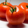 Fresh Cherry Tomato/Fresh Tomatoes