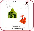 Plastic Ear Tag - Cattle
