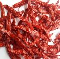 Dried S273 Wrinkle Red Chilli