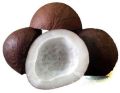 Organic Brown dry coconut