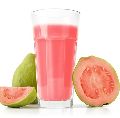Paste pink guava pulp