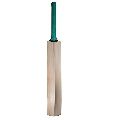 C Grade Kashmir Willow Cricket Bat