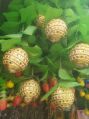 Round Plastic Ball Lays And Stone Golden chandla decorative ball