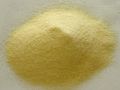 Common Powder Wheat Semolina
