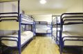 DG DEXAGLOBAL Hostel Bunk Beds